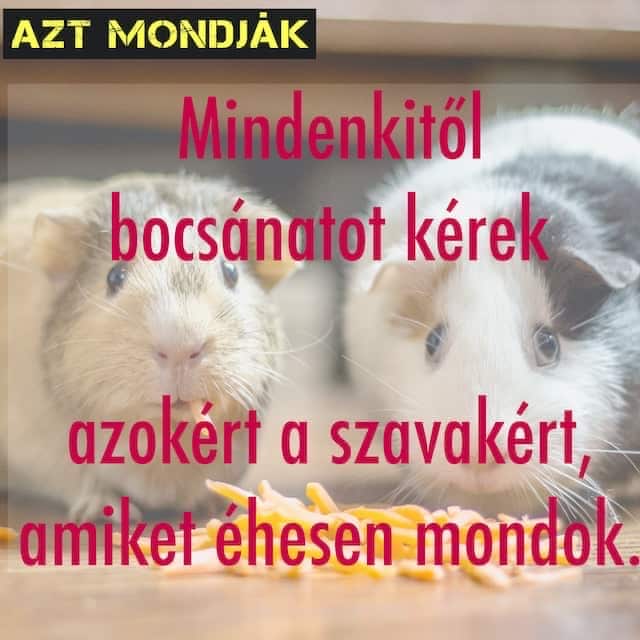 Mindenkitől bocsánatot kérek azokért a szavakért, amiket éhesen mondok. Vicces feliratú üzenet